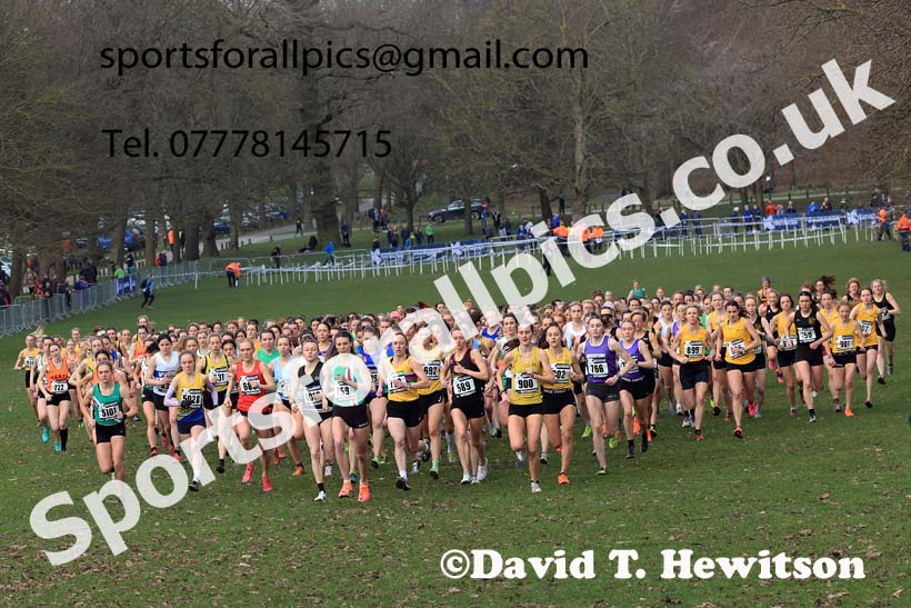 Senior Women, 2024 CAU Inter Counties Cross Country Champs., Wollaton Park, Nottingham. Photo: David T. Hewitson/Sports for All Pics